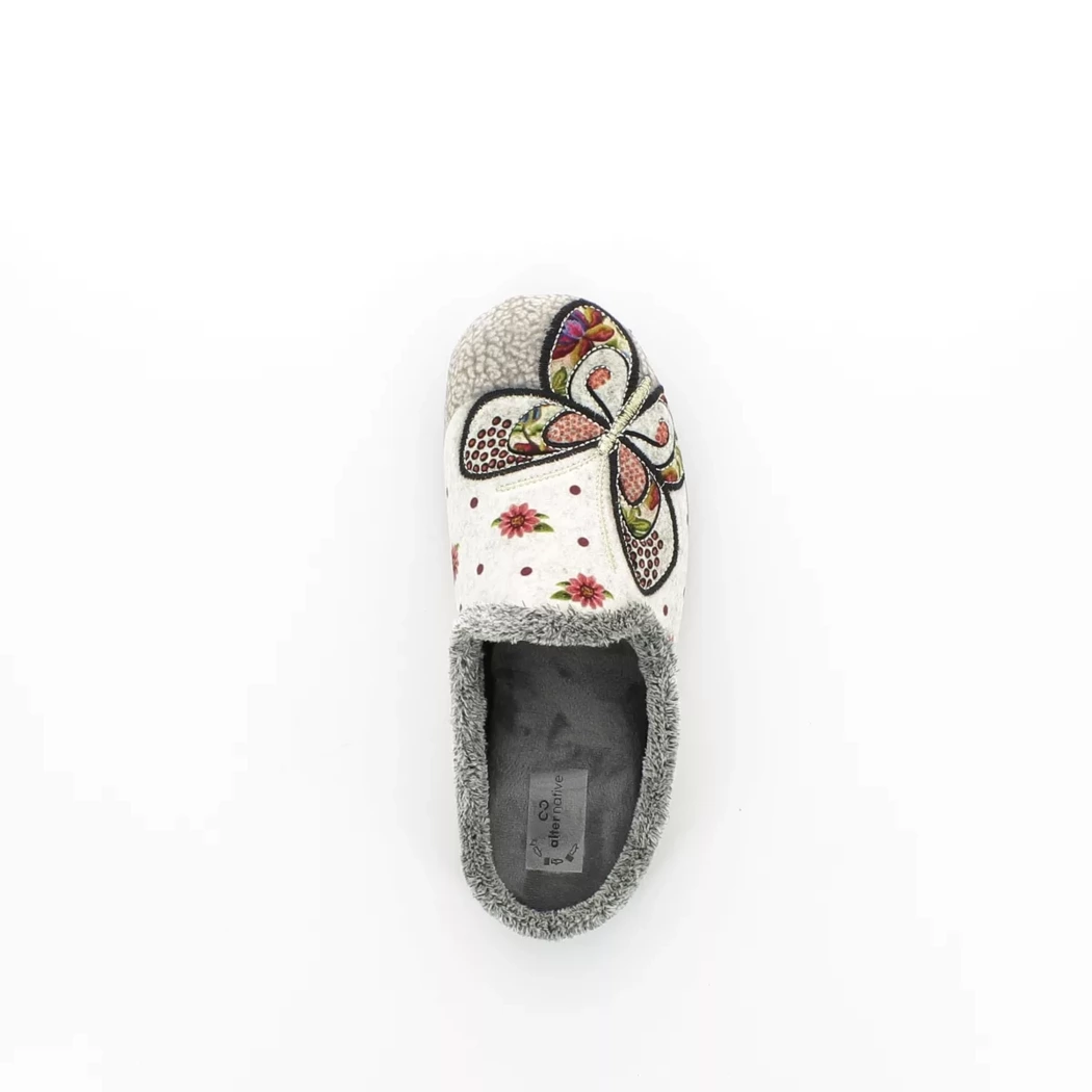 Image (6) de la chaussures Alter Native - Pantoufles et Chaussons Gris en Textile